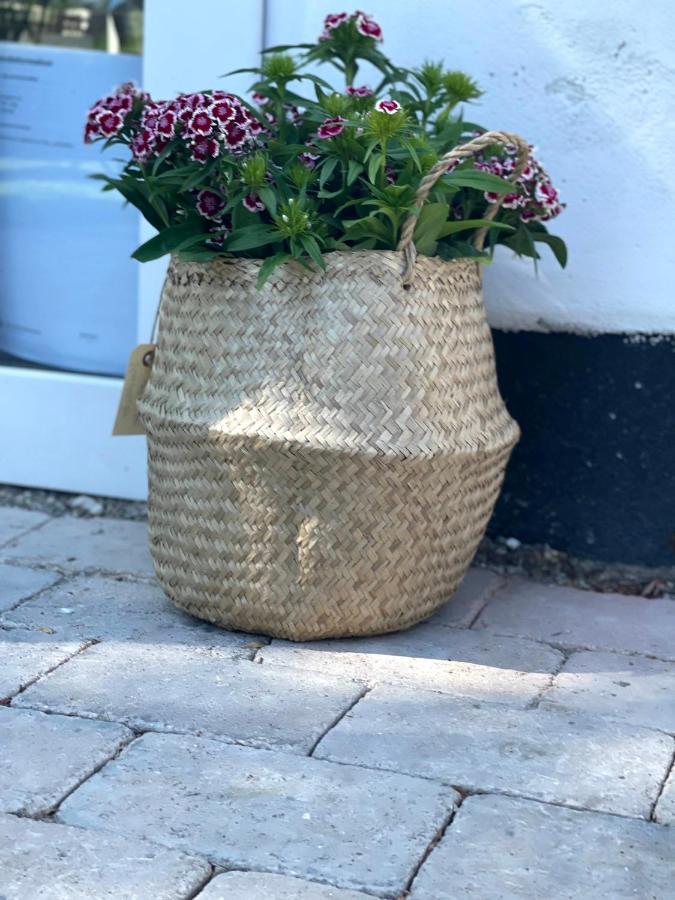Egn Boutique Hotel Stege Eksteriør bilde